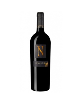 Vin Numanthia 2017 15,5% 75cl