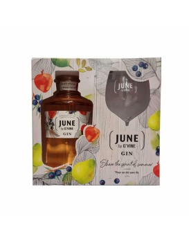 Pfirsich-Gin-Box + 1 Hausglas VILLEVERT 70cl 37,5%