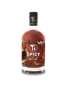 Ti Spicy Punch Au Rhum 70cl 45%