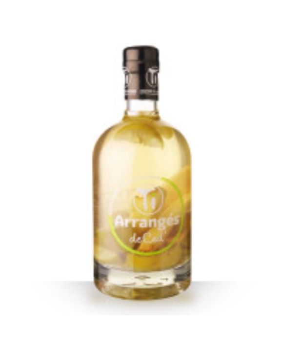 Gwamare Zitronen-Ingwer-Rum-Punsch 450cl 32%