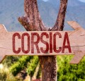 5 Unbekannte Weine aus Korsika, die Sie überraschen werden!