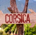 5 Vins De Corse Méconnus Qui Vont Vous Surprendre !