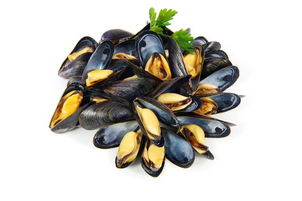 moules