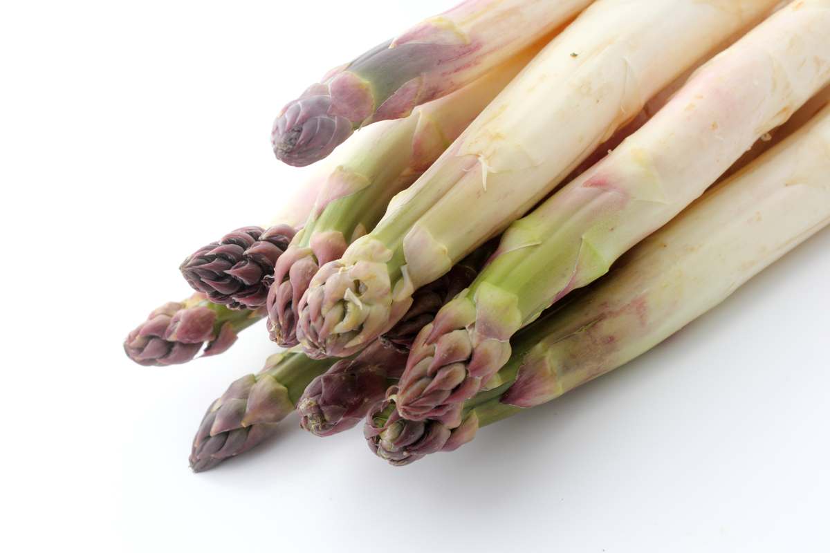 asperge verte violette