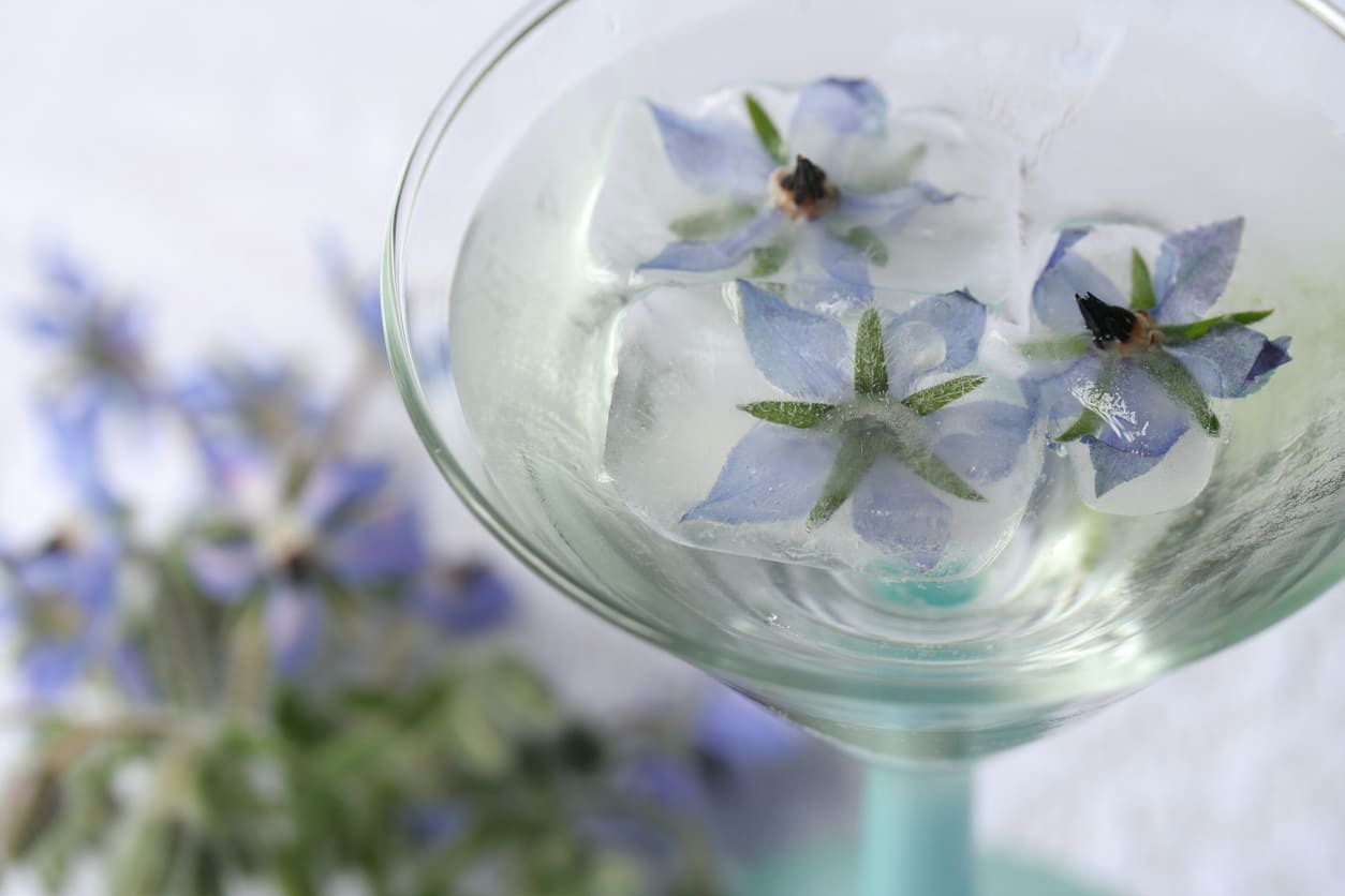 fleur comestible cocktail